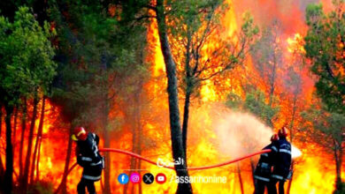 incendies . forets