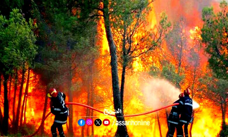 incendies . forets