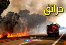 incendies . forets