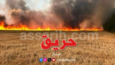 incendies-780x470-1