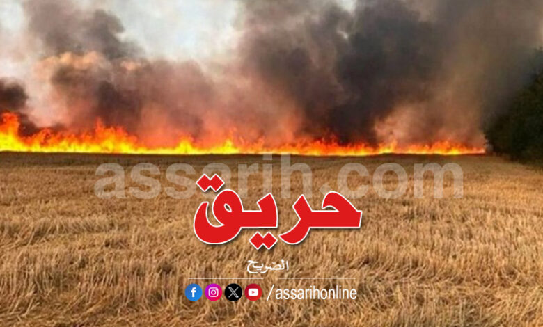 incendies-780x470-1
