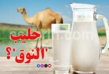 lait de chamelle