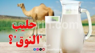 lait de chamelle