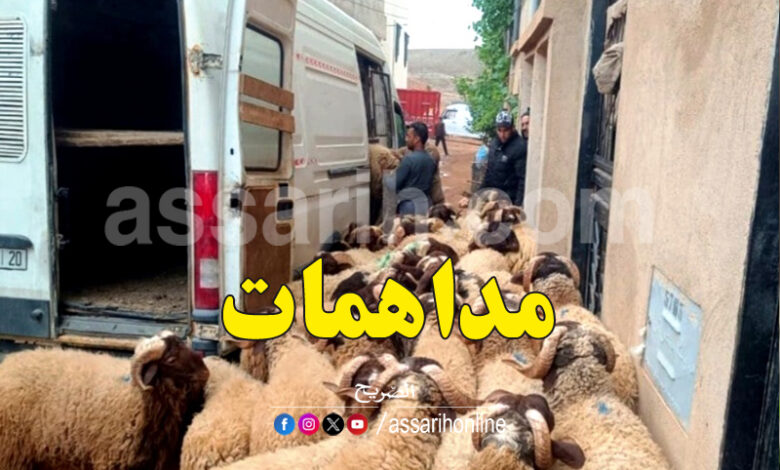 maroc