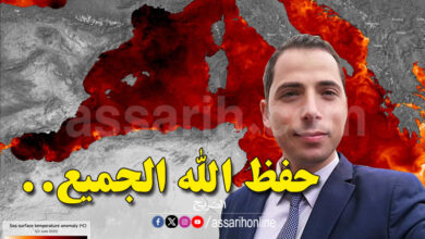 mehrez ghannouchi