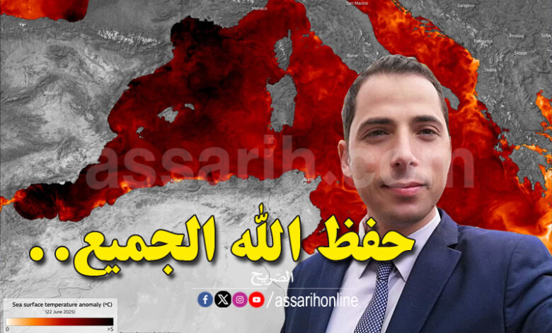 mehrez ghannouchi