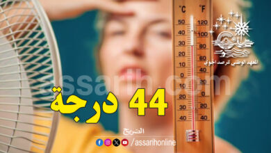 meteo