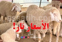 mouton