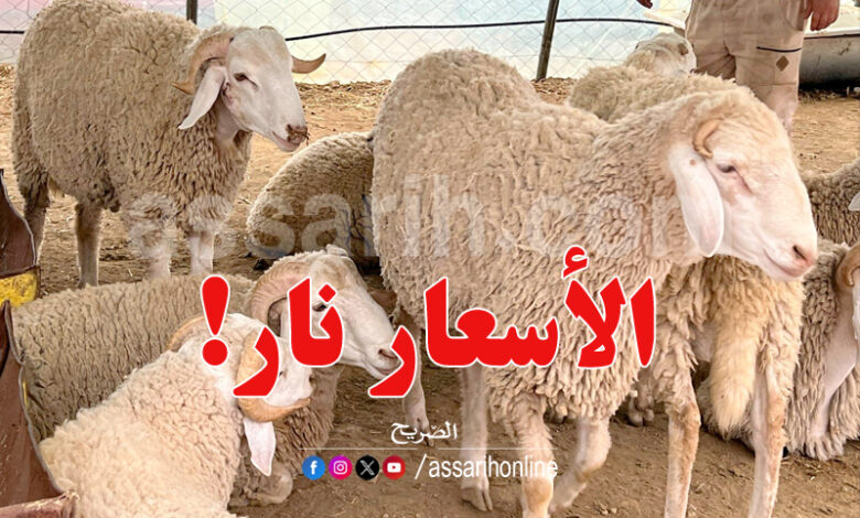 mouton