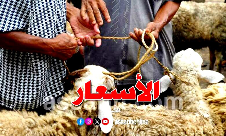 moutons