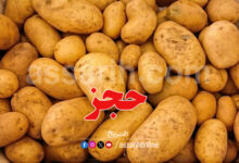 pomme deterre