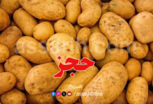pomme-deterre-780x470