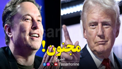 tremp et musk