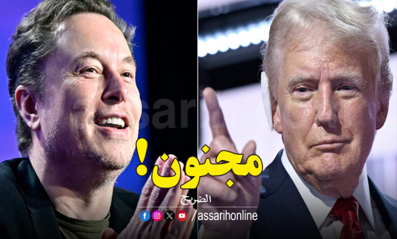tremp et musk