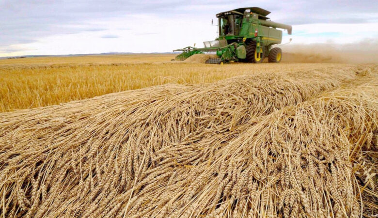 Alimentation grossière