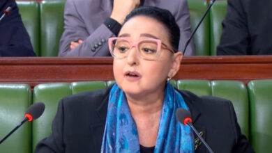 Amina Srarfi Parlement