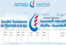 Facture-Steg