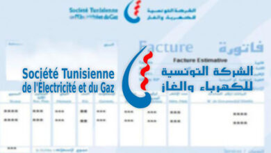 Facture-Steg