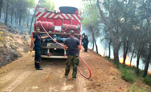 Incendie de Jabal Sayyar 02