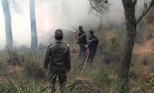 Incendie de Jabal Sayyar 03