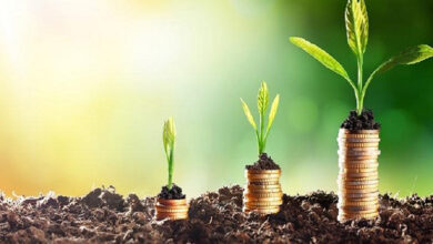 Investissement agricole