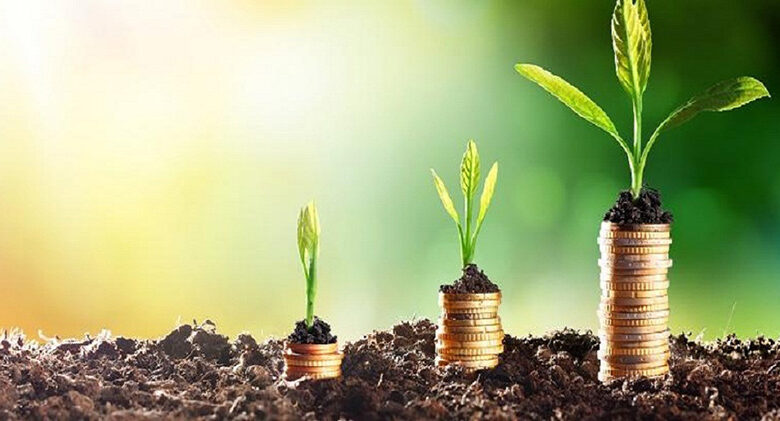Investissement agricole