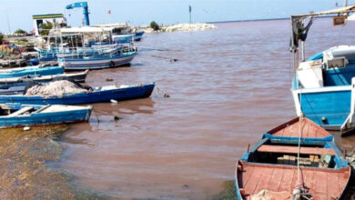 Le Forum des droits appelle à déclarer l’état d’urgence environnementale dans le Golfe de Monastir.