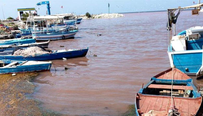 Le Forum des droits appelle à déclarer l’état d’urgence environnementale dans le Golfe de Monastir.