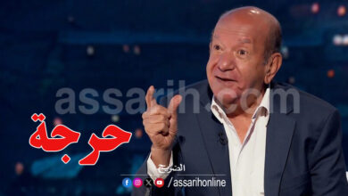 Lotfi Labib