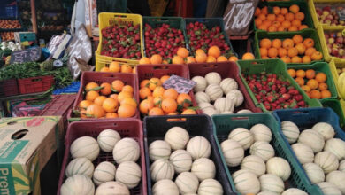 Marché fruits