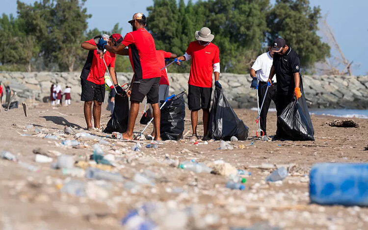 Organisation de campagnes de nettoyage des plages