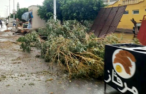 Une tempête déracine des arbres à Bir Masharqa 02