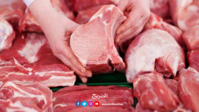Viande-2