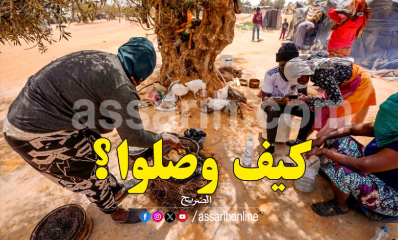 africain el amara