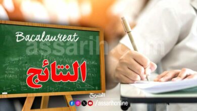 bac . résultats