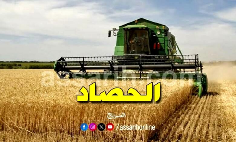 blé 20062024 (7)