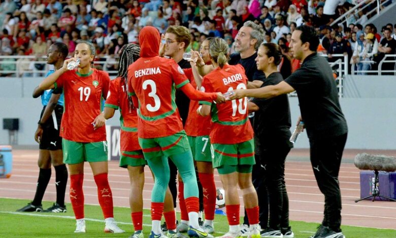 can féminine 2025 - maroc