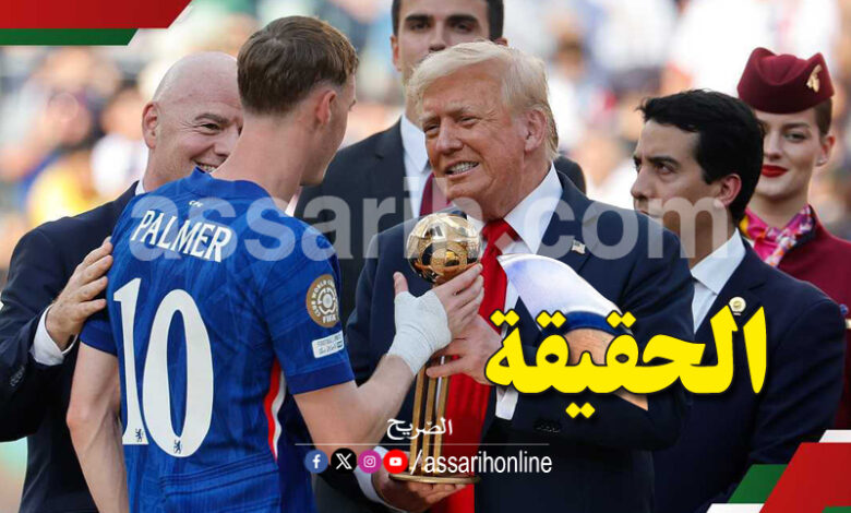 cole palmer donald trump