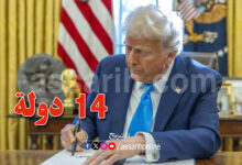 donald tremp
