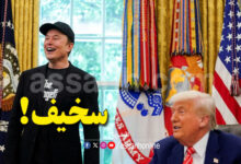 donald trump elon musk