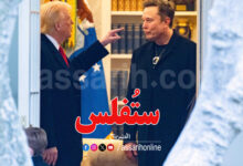 donald trump elon musk