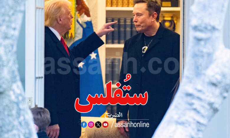 donald trump elon musk