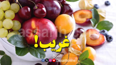 fruits d'été