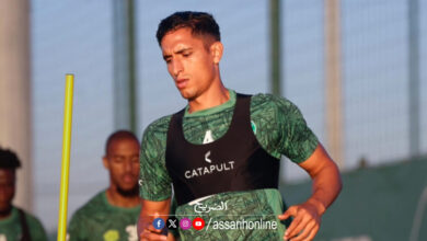 hani amamou
