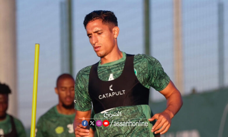 hani amamou