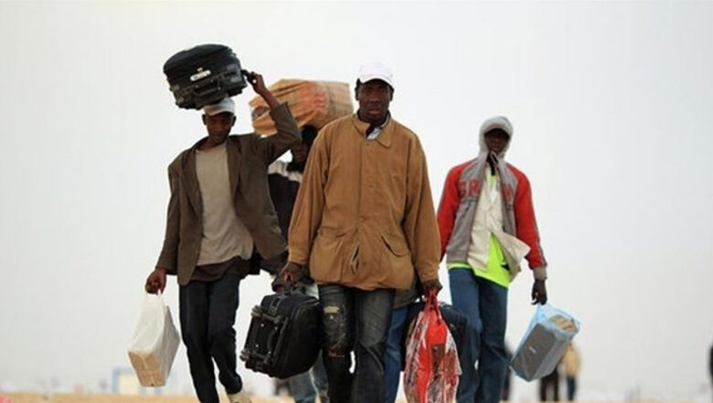 immigrant africain