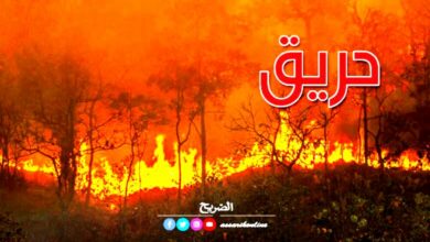 incendie foret
