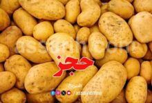 pommes de terre 26062025