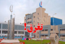 steg tunisie