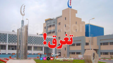 steg tunisie
